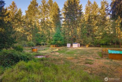 3917 240th Street E, Spanaway, WA 98387-7012 - Photo 26