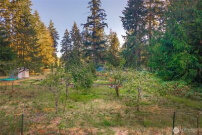 3917 240th Street E, Spanaway, WA 98387-7012 - Photo 30