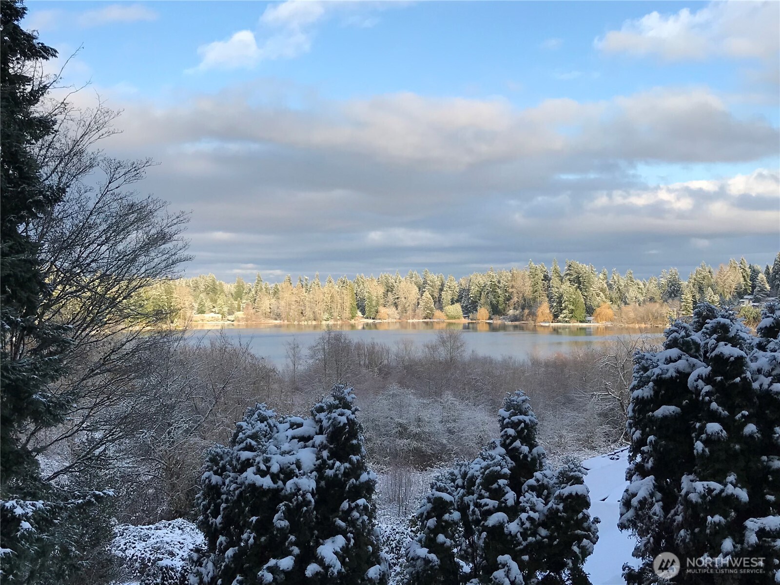 2187 157th Place SE, Bellevue, WA 98008