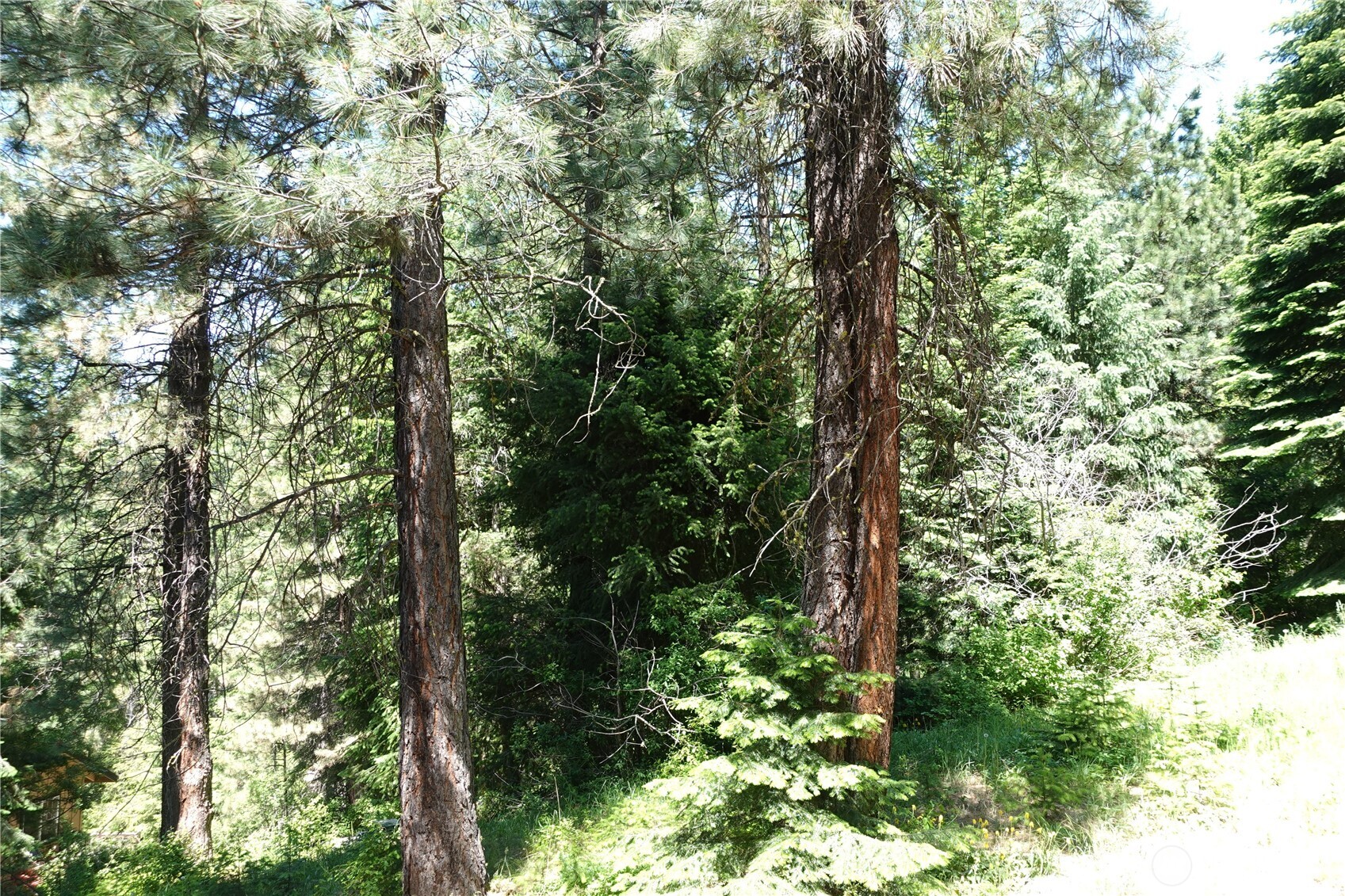 25813 Bridle Lane , Leavenworth, WA 98826