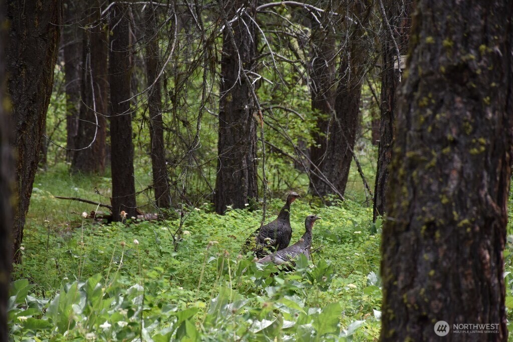 25813 Bridle Lane , Leavenworth, WA 98826