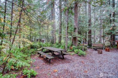 89 Sunset Circle , Deming, WA 98244 - Photo 4