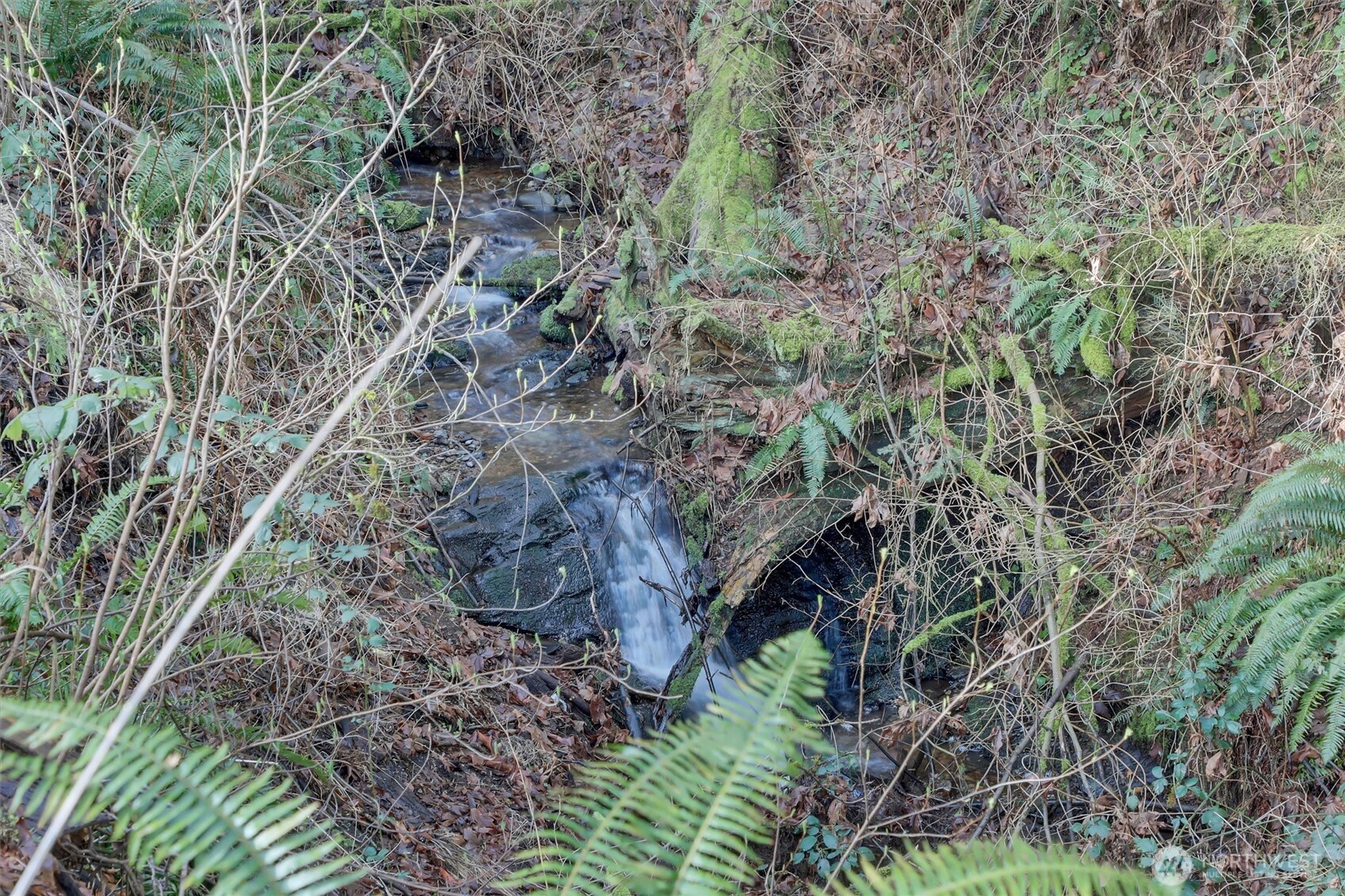 16714 Broadway Avenue , Snohomish, WA 98296