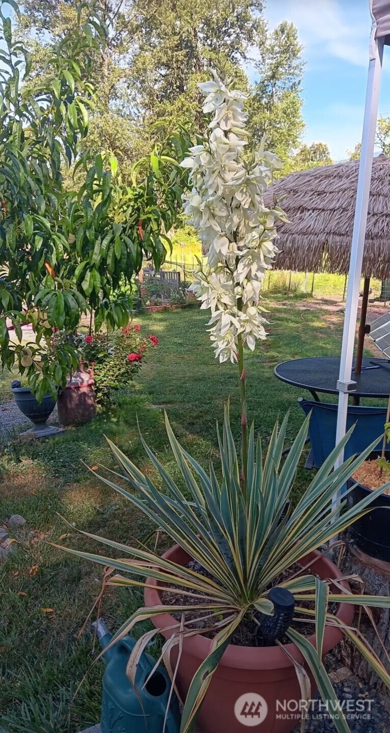 47367 State Route 20 , Concrete, WA 98237