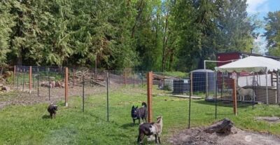 47367 State Route 20 , Concrete, WA 98237 - Photo 5