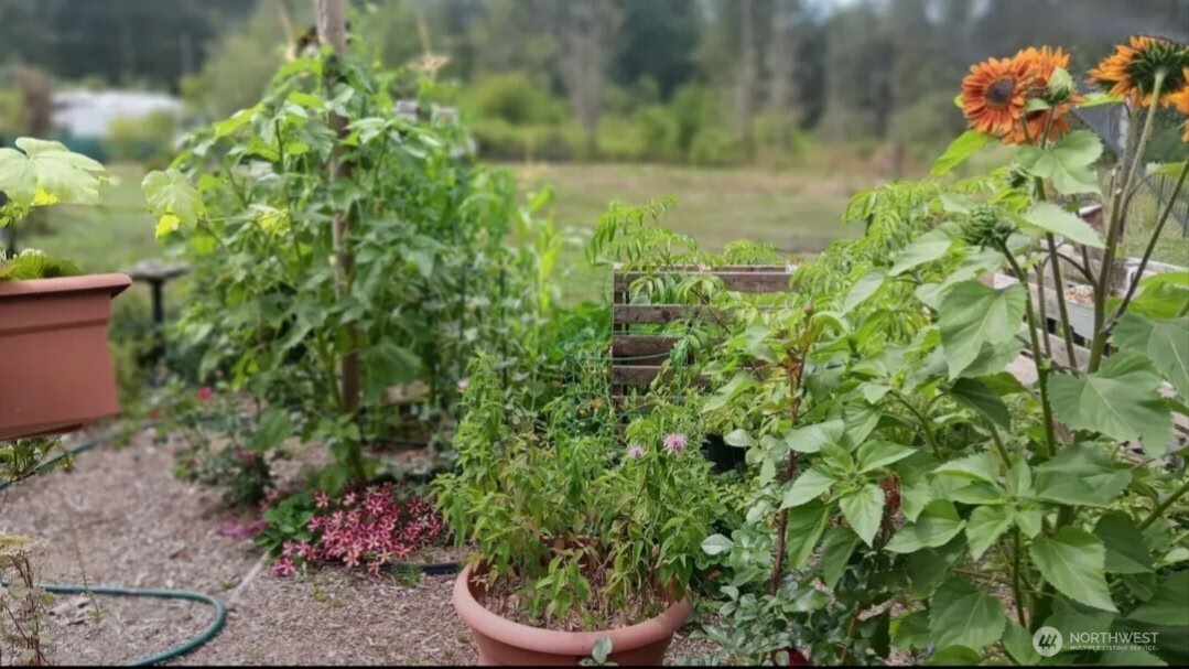 47367 State Route 20 , Concrete, WA 98237