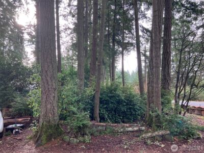 13115 140th Avenue NW, Gig Harbor, WA 98329 - Photo 4