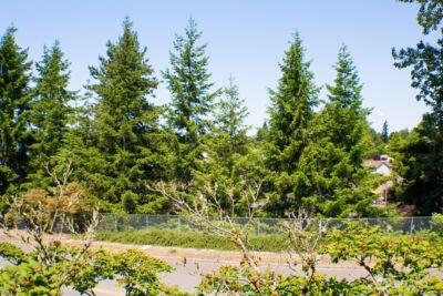 2611 NE 4th Street #234, Renton, WA 98056 - Photo 16