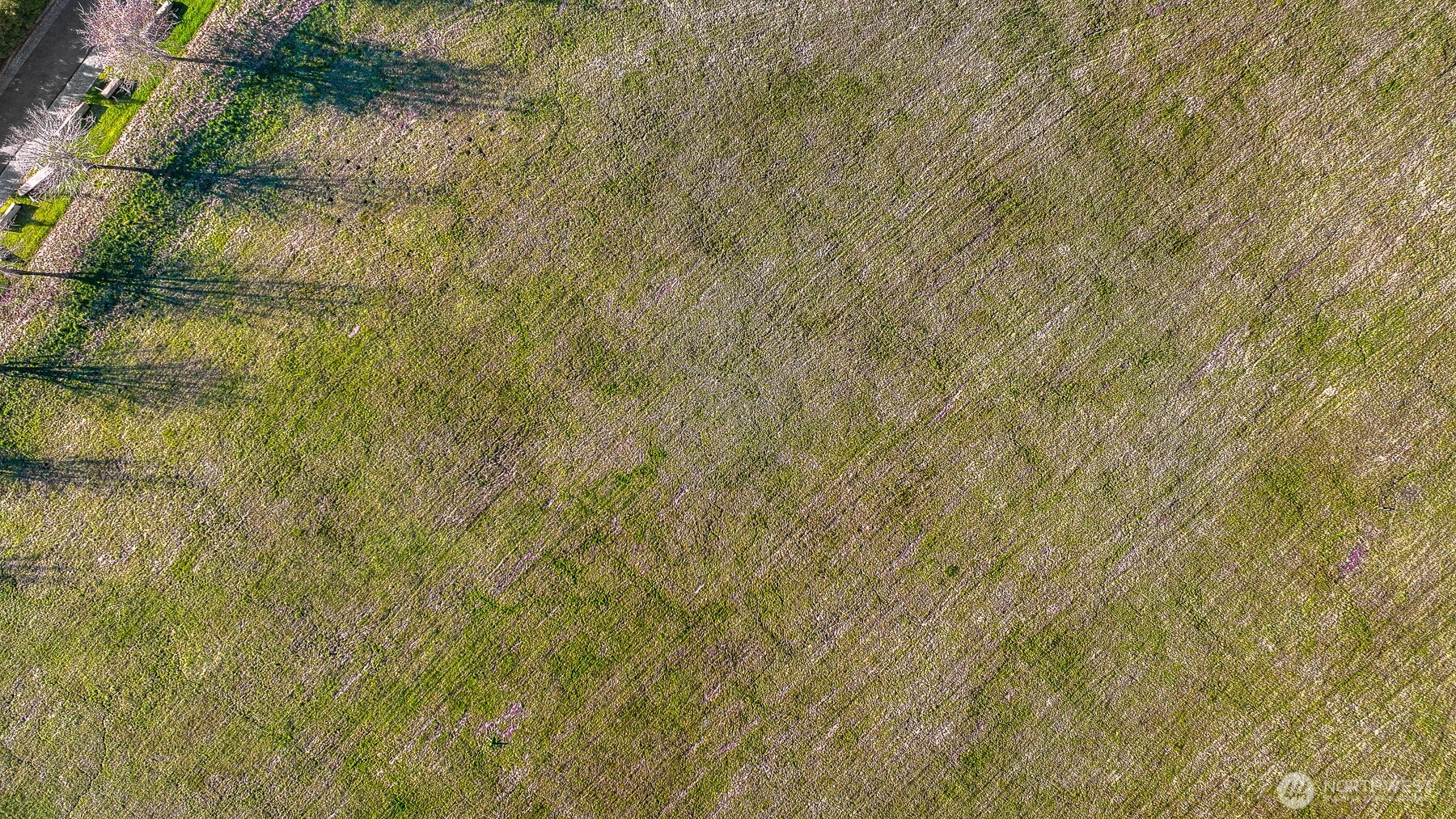 2630 - 2638 Douglas Road , Ferndale, WA 98248