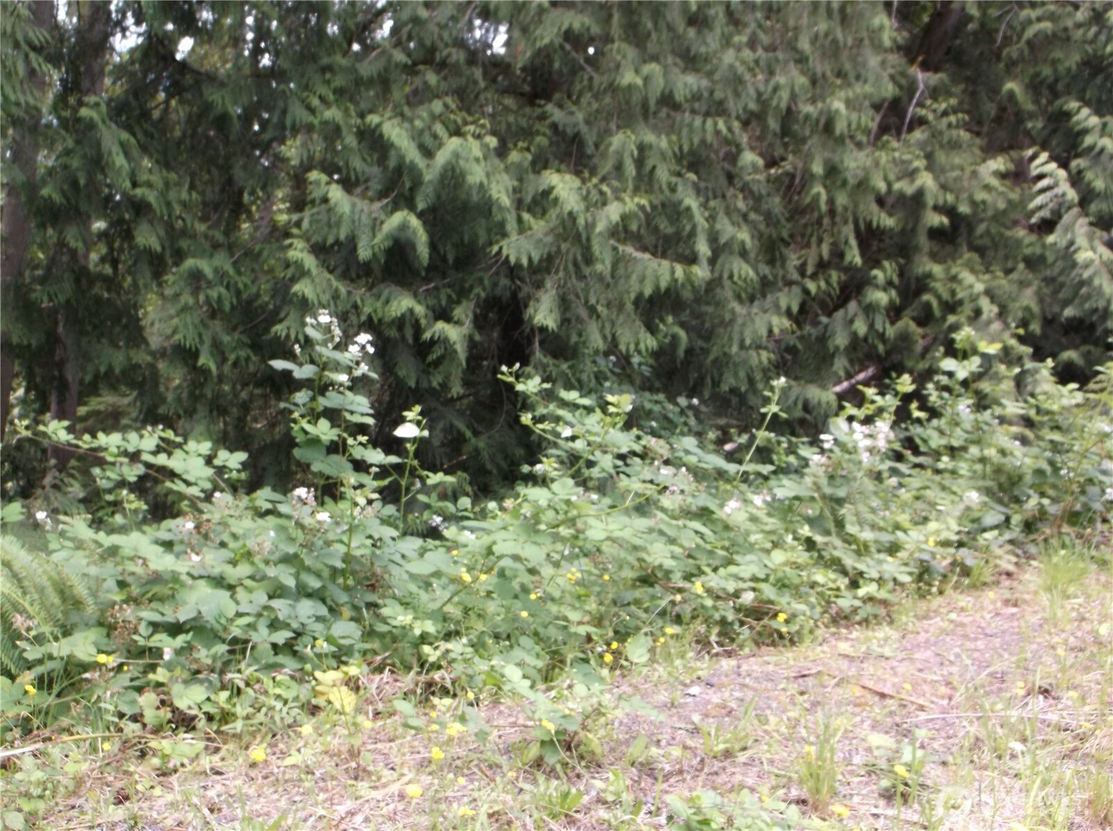 18012 123rd Place NE, Arlington, WA 98223-7102