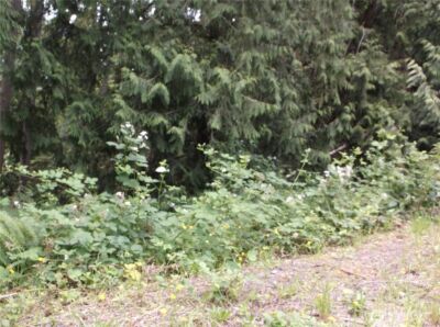 18012 123rd Place NE, Arlington, WA 98223-7102 - Photo 1