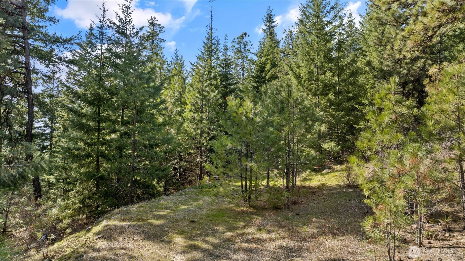 0 Lot B R&R Heights Drive , Roslyn, WA 98941