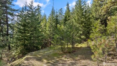 0 Lot B R&R Heights Drive , Roslyn, WA 98941 - Photo 4