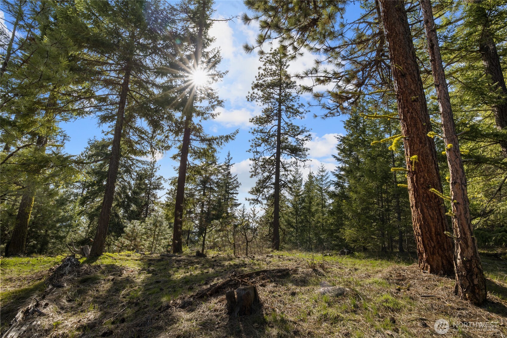 0 Lot B R&R Heights Drive , Roslyn, WA 98941