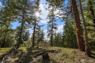 0 Lot B R&R Heights Drive , Roslyn, WA 98941 - Photo 5