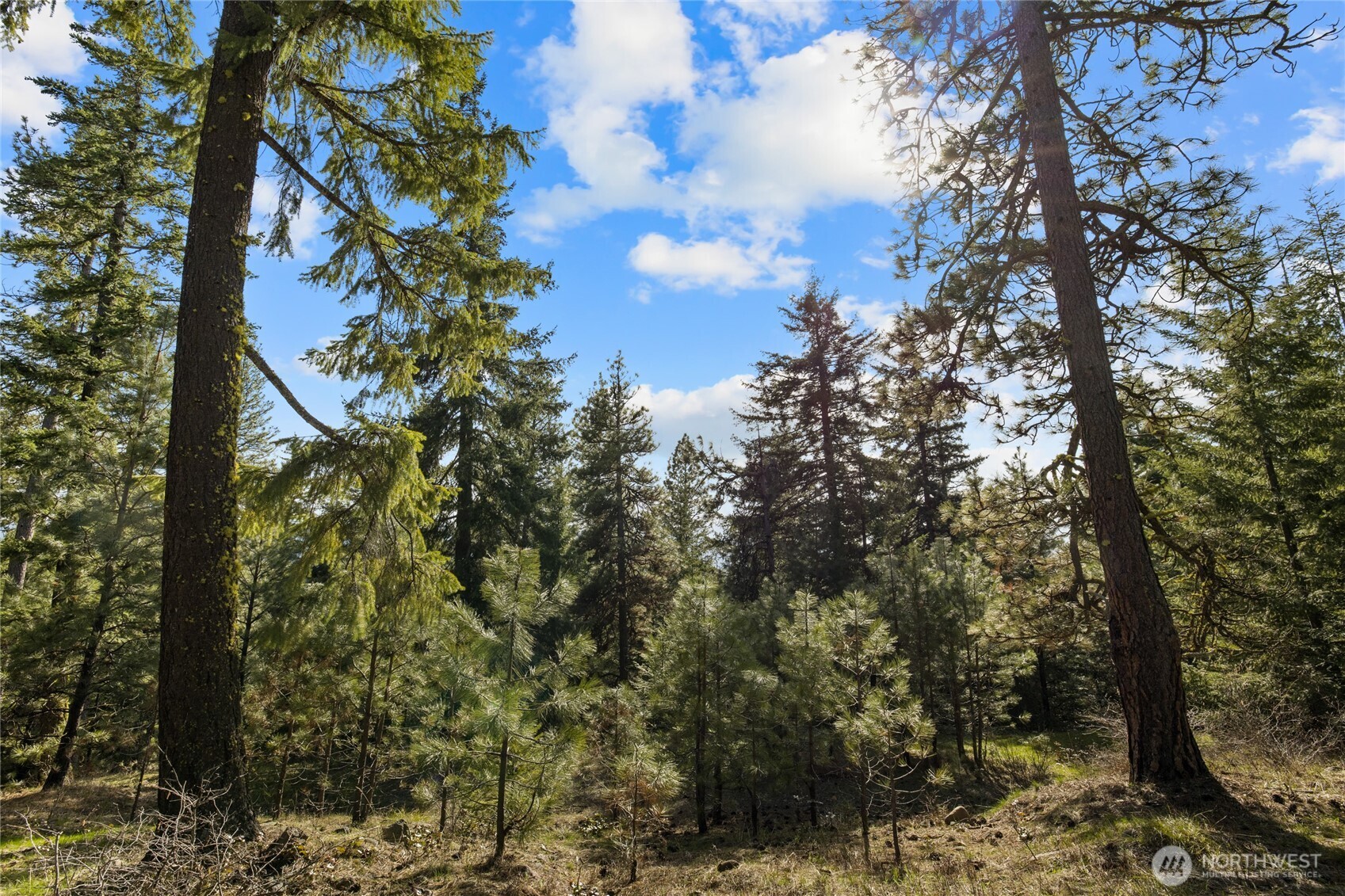 0 Lot B R&R Heights Drive , Roslyn, WA 98941