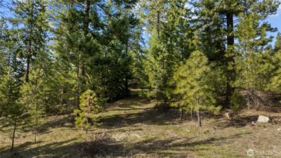 0 Lot B R&R Heights Drive , Roslyn, WA 98941 - Photo 7