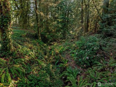 5811 Wollochet Drive NW, Gig Harbor, WA 98335 - Photo 35