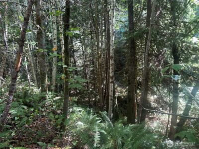 22222 E Quilcene Road , Quilcene, WA 98376 - Photo 35