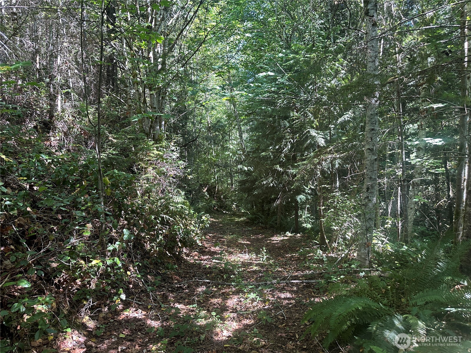 22222 E Quilcene Road , Quilcene, WA 98376