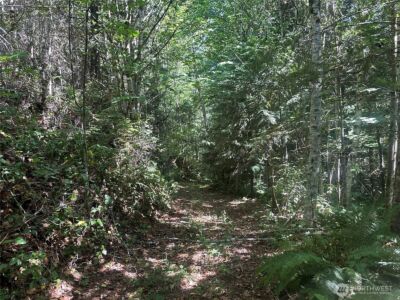 22222 E Quilcene Road , Quilcene, WA 98376 - Photo 36