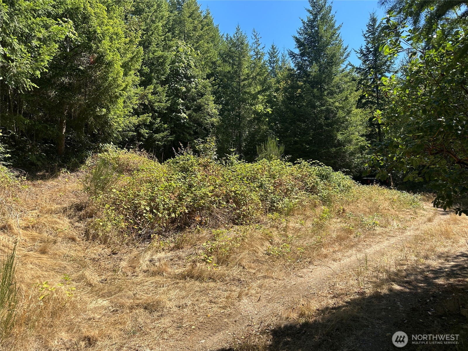 22222 E Quilcene Road , Quilcene, WA 98376
