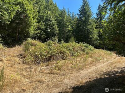 22222 E Quilcene Road , Quilcene, WA 98376 - Photo 6