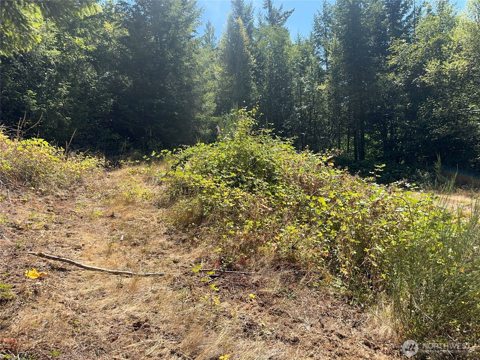 22222 E Quilcene Road , Quilcene, WA 98376