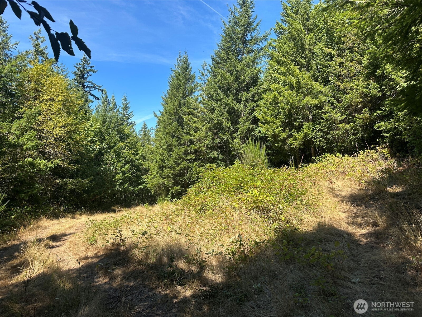 22222 E Quilcene Road , Quilcene, WA 98376