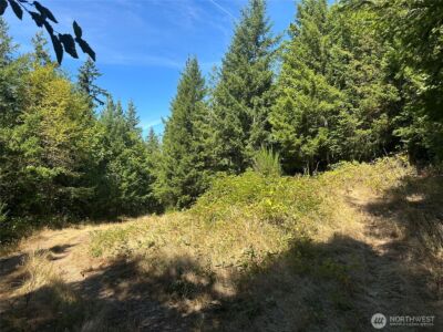 22222 E Quilcene Road , Quilcene, WA 98376 - Photo 8