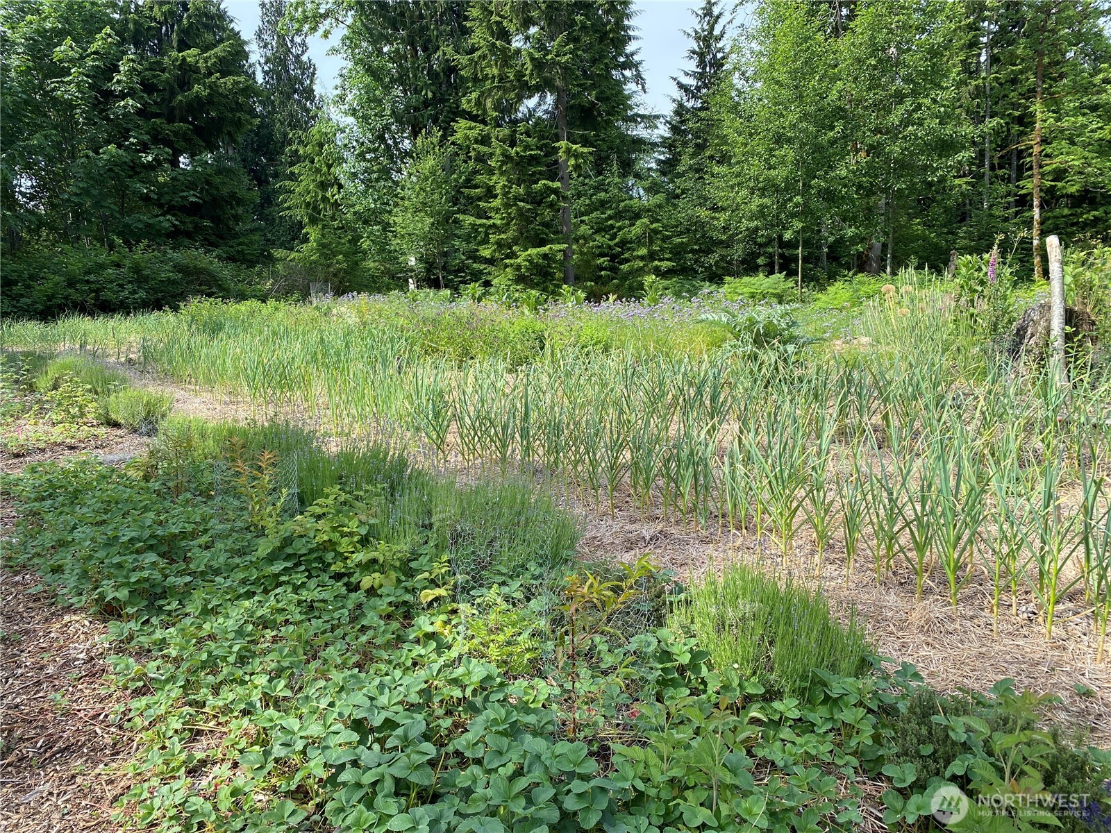 2514 177th Avenue NE, Snohomish, WA 98290