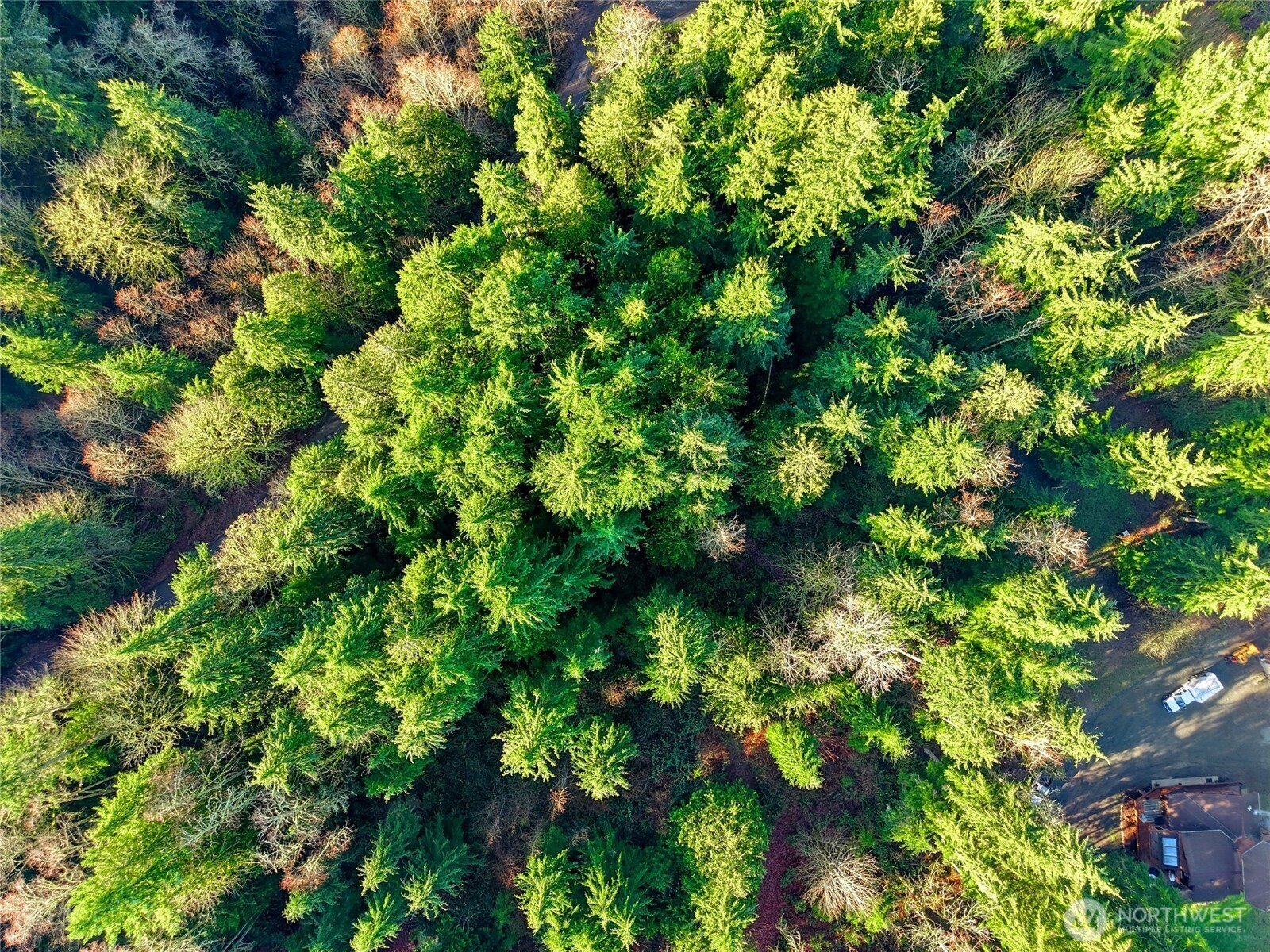 2514 177th Avenue NE, Snohomish, WA 98290