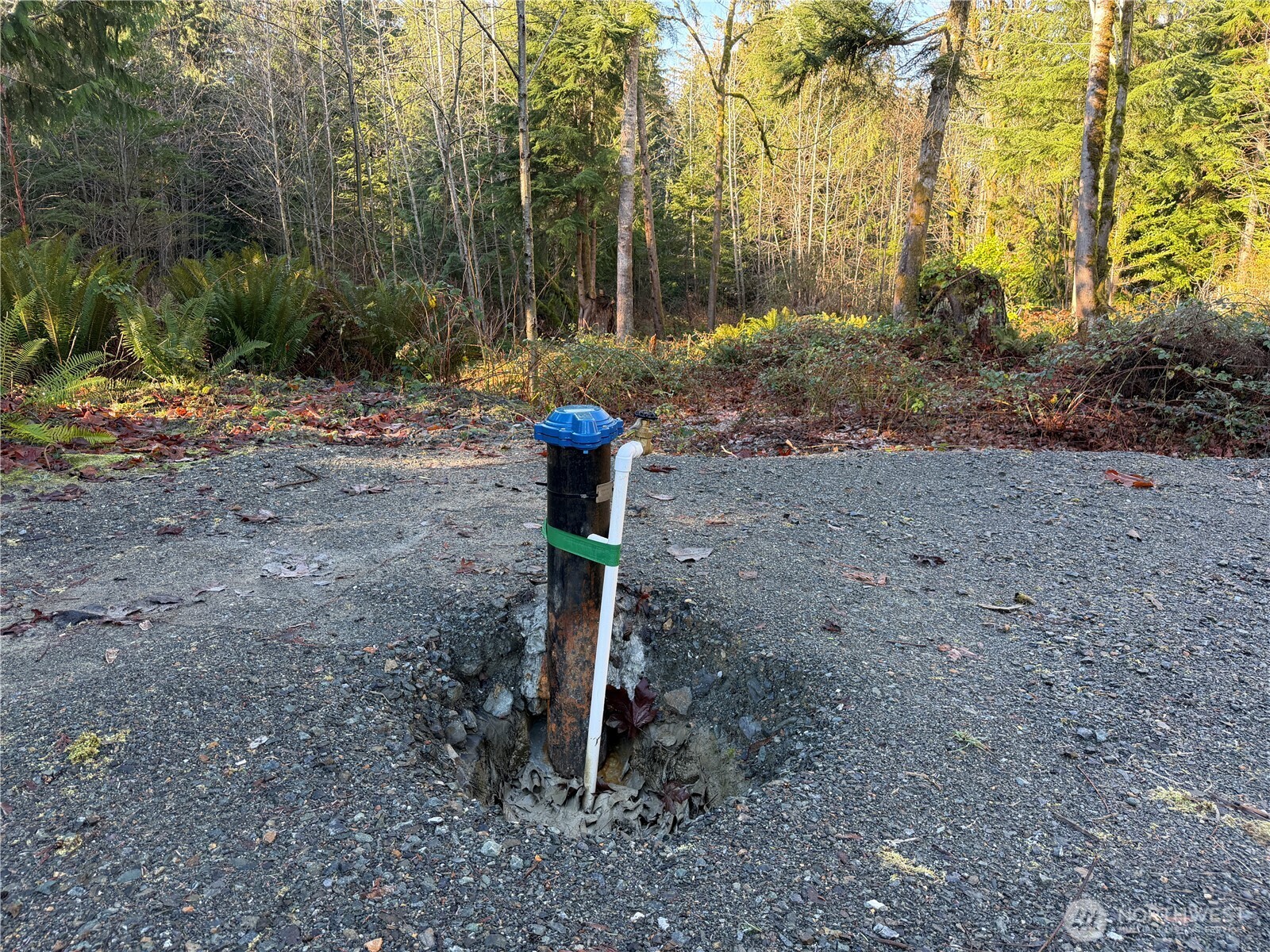 2514 177th Avenue NE, Snohomish, WA 98290