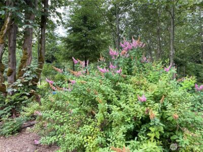 2514 177th Avenue NE, Snohomish, WA 98290 - Photo 6