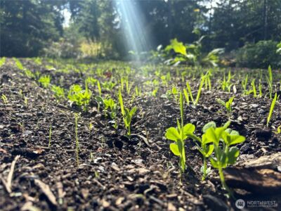 2514 177th Avenue NE, Snohomish, WA 98290 - Photo 7