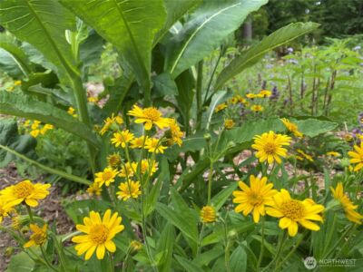 2514 177th Avenue NE, Snohomish, WA 98290 - Photo 10