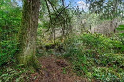 0 SW 220th Street , Vashon, WA 98070 - Photo 1