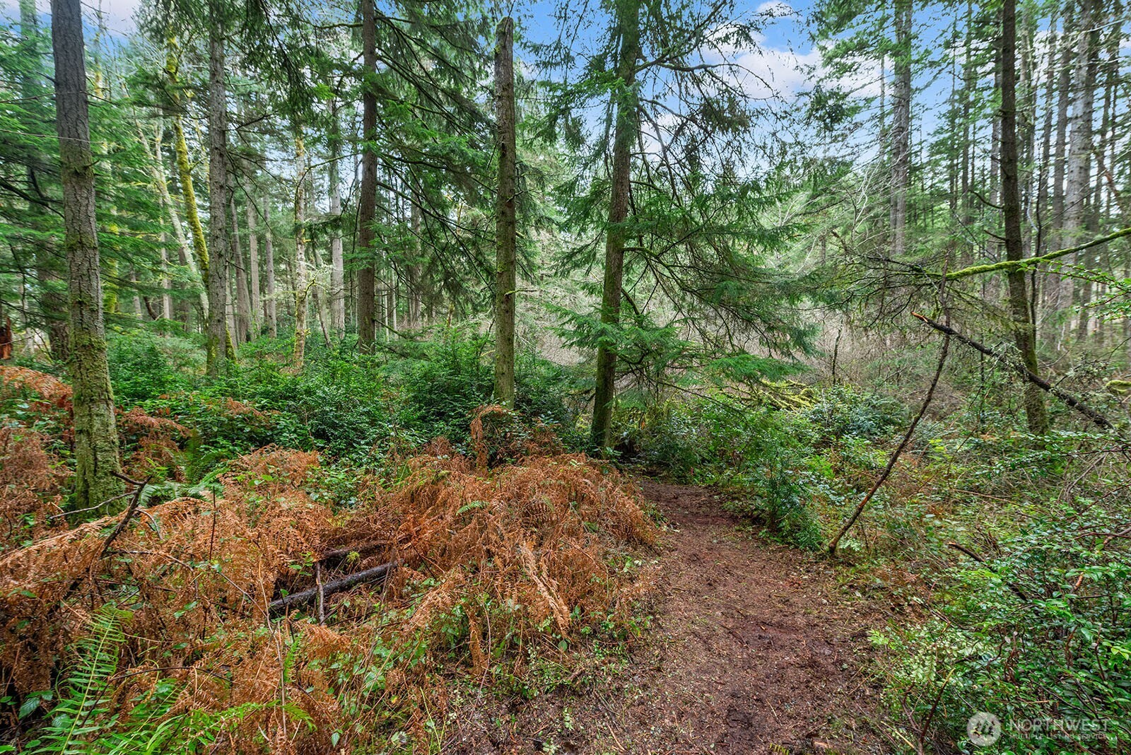 0 SW 220th Street , Vashon, WA 98070