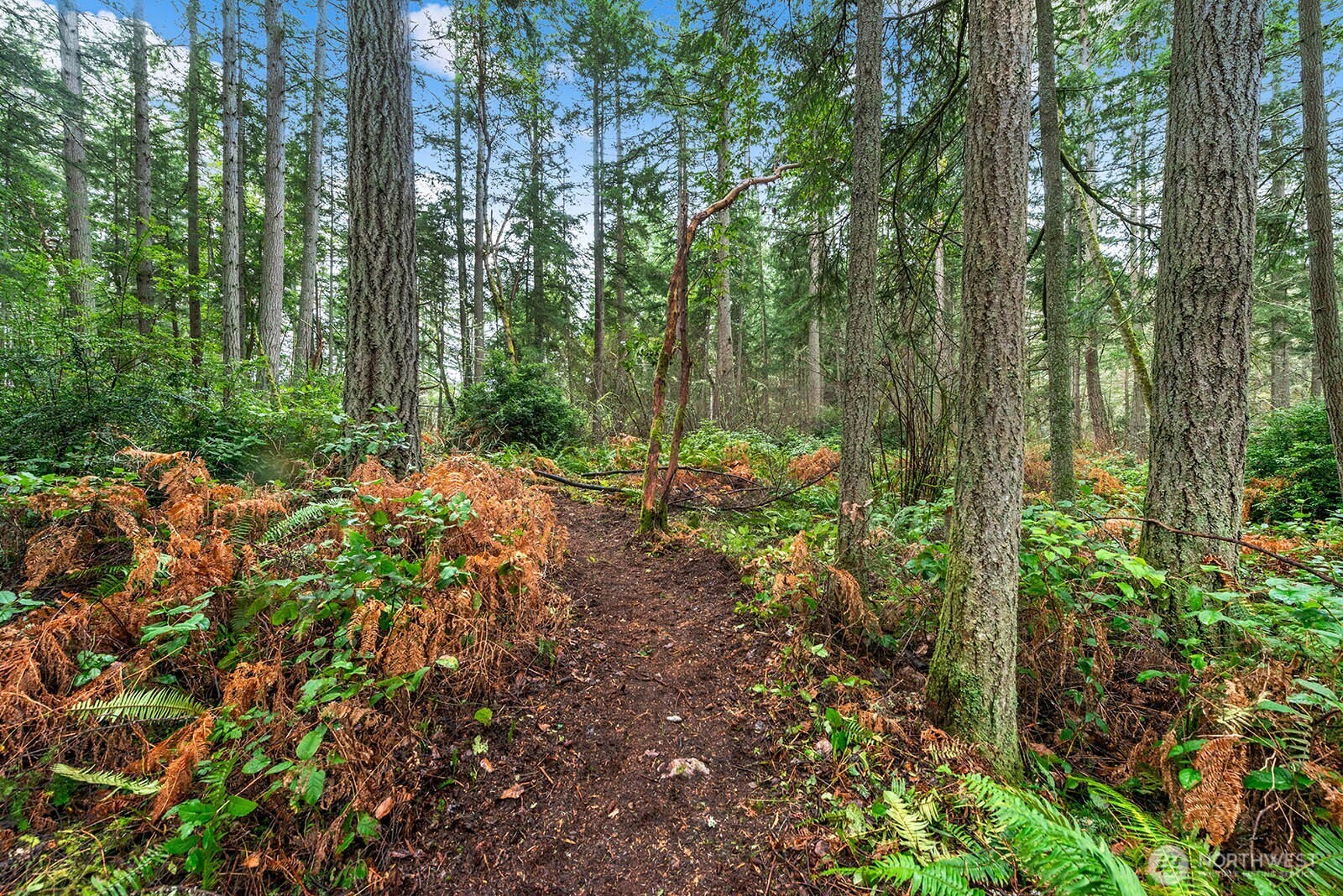 0 SW 220th Street , Vashon, WA 98070