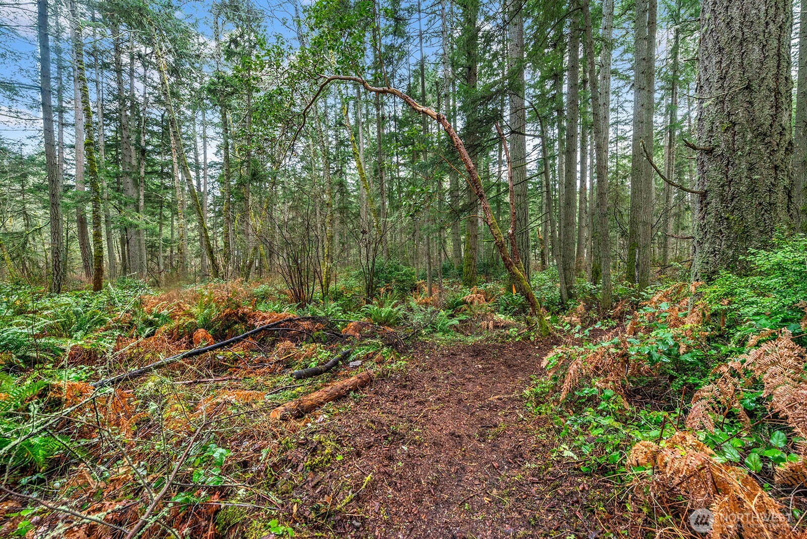 0 SW 220th Street , Vashon, WA 98070