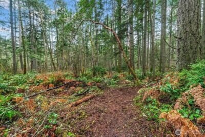 0 SW 220th Street , Vashon, WA 98070 - Photo 13