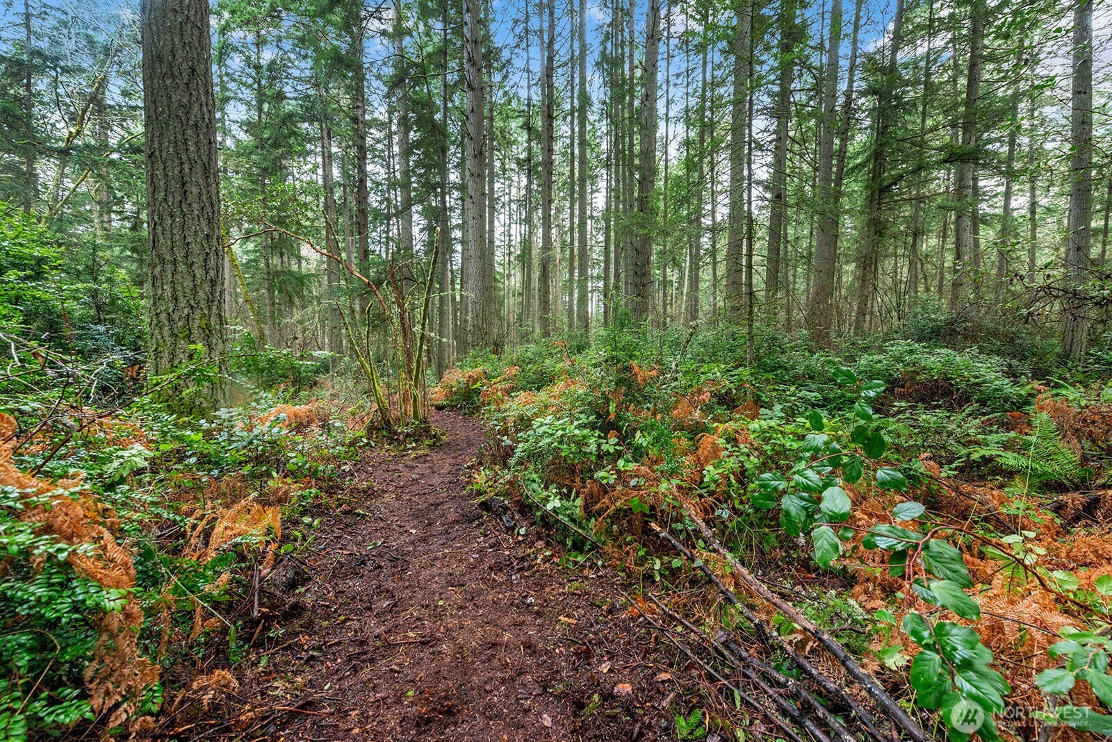 0 SW 220th Street , Vashon, WA 98070