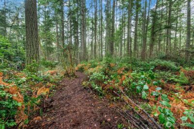 0 SW 220th Street , Vashon, WA 98070 - Photo 14