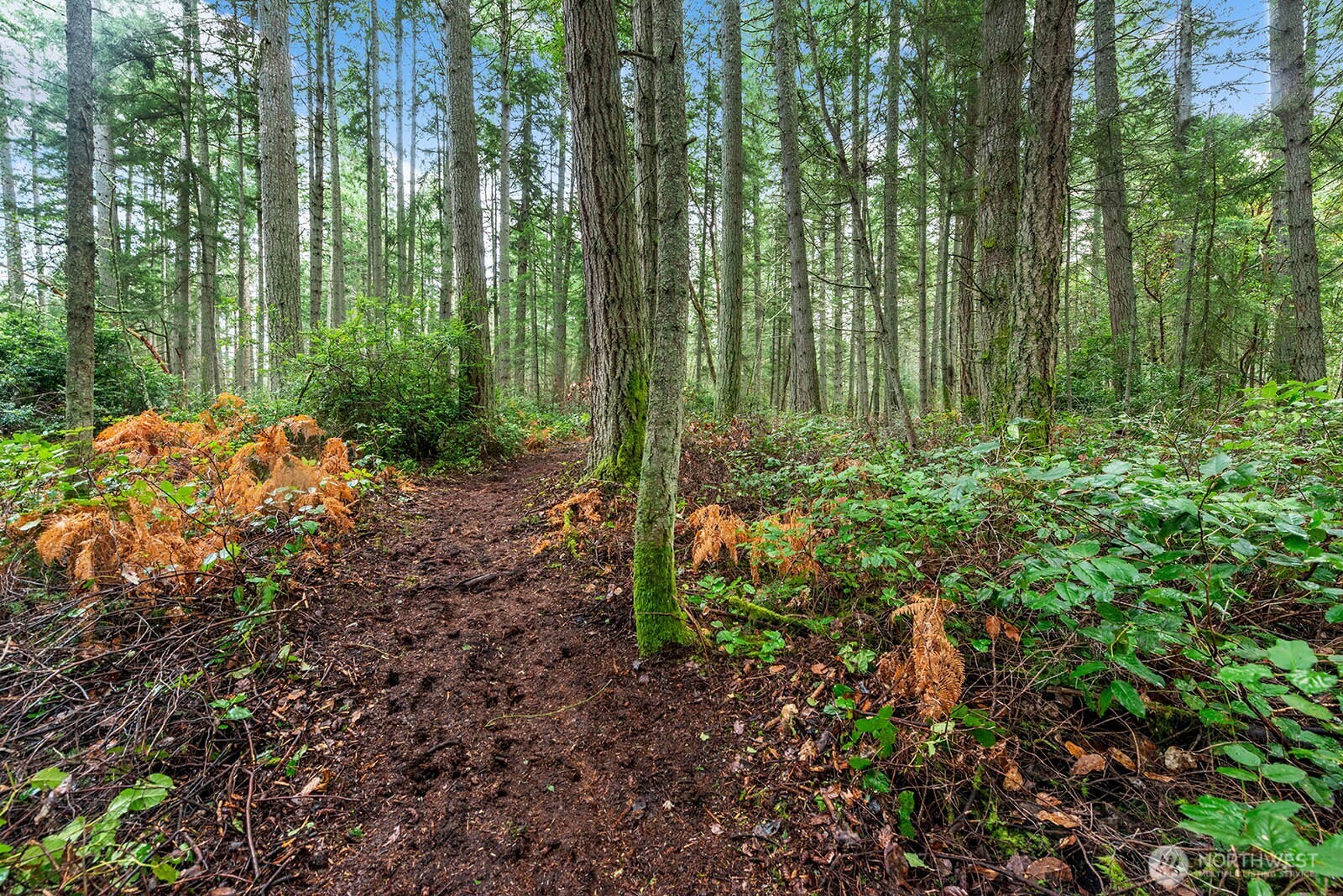 0 SW 220th Street , Vashon, WA 98070