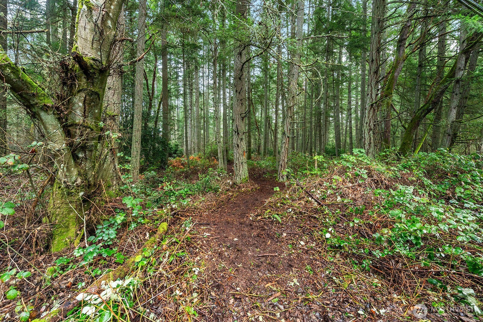 0 SW 220th Street , Vashon, WA 98070