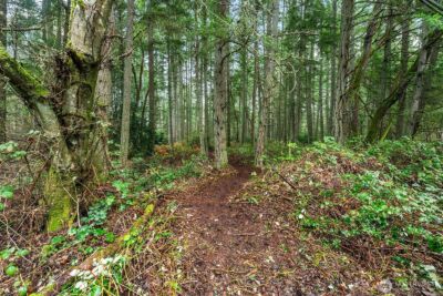 0 SW 220th Street , Vashon, WA 98070 - Photo 16