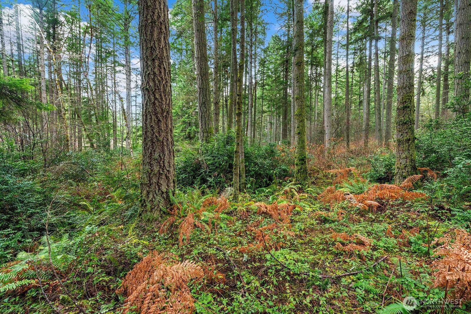 0 SW 220th Street , Vashon, WA 98070