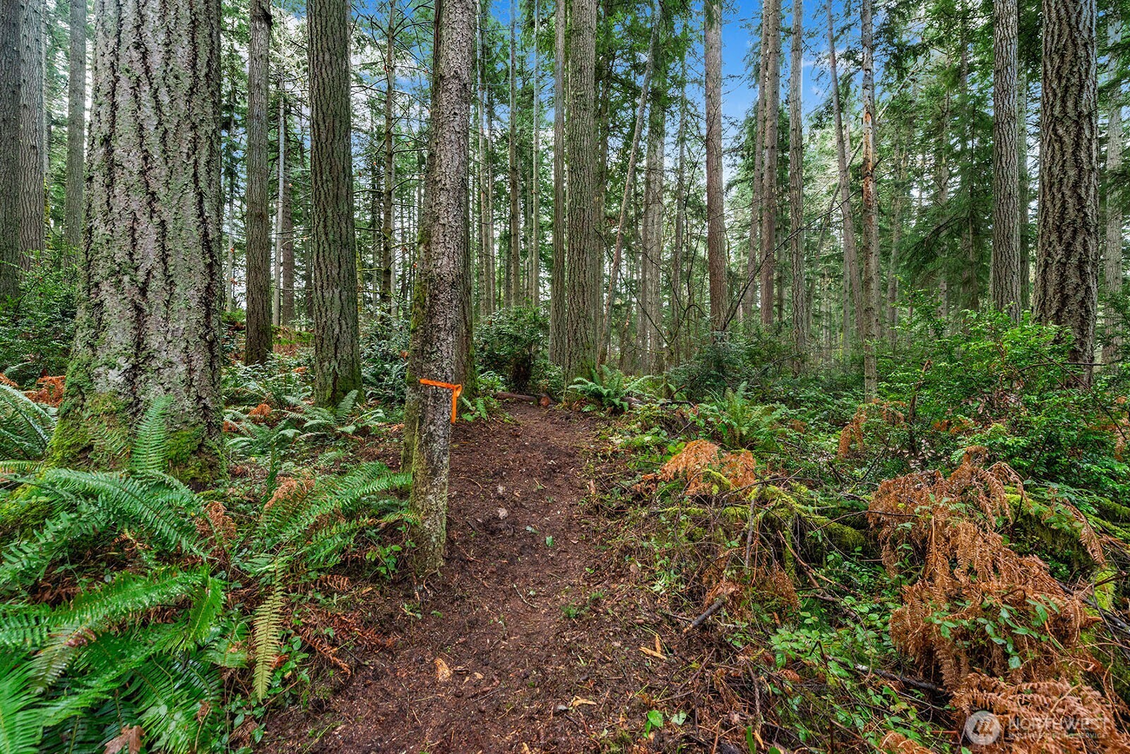 0 SW 220th Street , Vashon, WA 98070