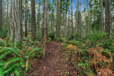 0 SW 220th Street , Vashon, WA 98070 - Photo 5