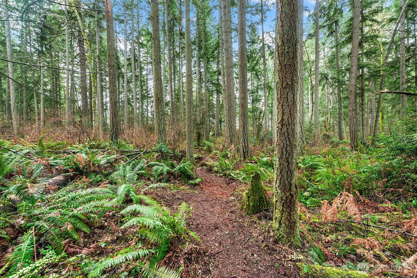 0 SW 220th Street , Vashon, WA 98070